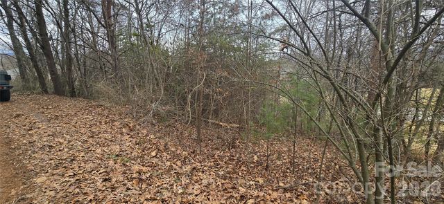 Lot 2 Kuykendall Lane, Canton, NC 28716