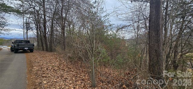 Lot 2 Kuykendall Lane, Canton, NC 28716