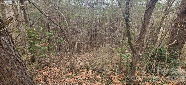 Lot 2 Kuykendall Lane, Canton, NC 28716