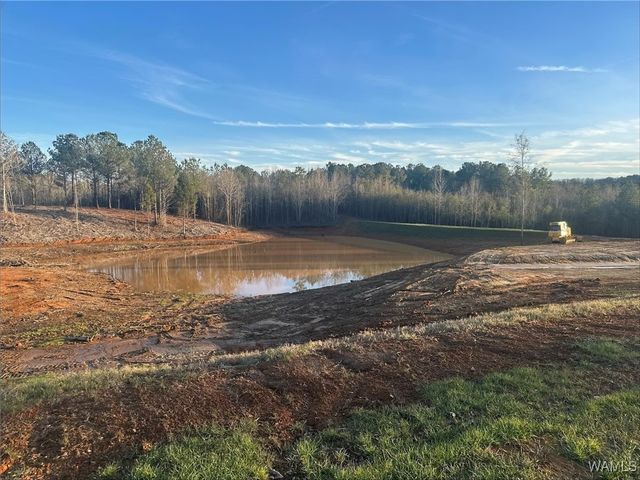 02 Cedar Ridge, Northport, AL 35475