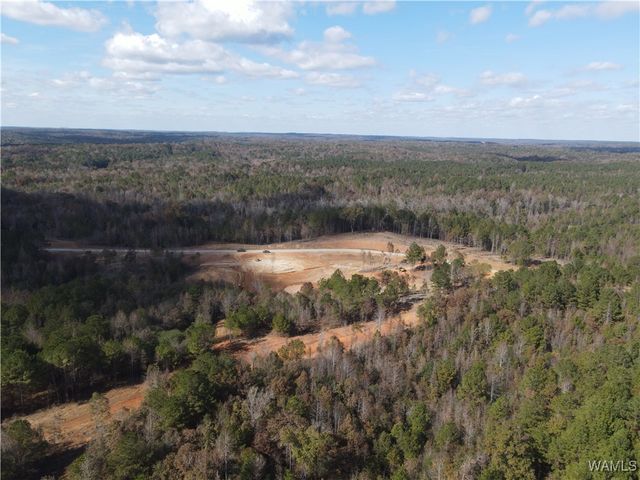 02 Cedar Ridge, Northport, AL 35475