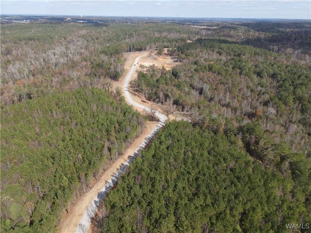 02 Cedar Ridge, Northport, AL 35475