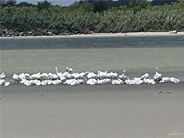 8544 Lago Vista Drive, Edcouch, TX 78538