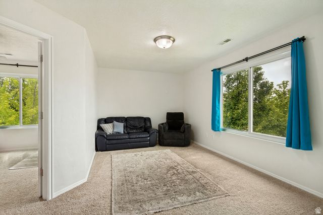1427 S 1100 W, Springville, UT 84663