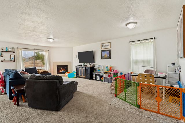 1427 S 1100 W, Springville, UT 84663
