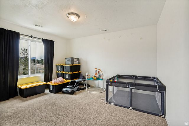 1427 S 1100 W, Springville, UT 84663