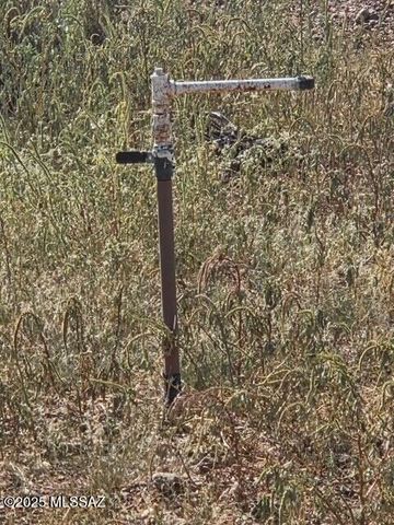 6075 San Carlos Drive, Sunizona, AZ 85625