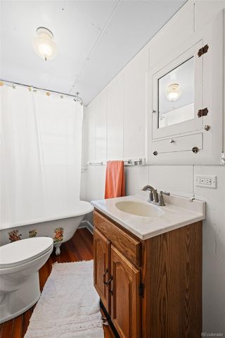 1608 Mount Massive Drive, Leadville, CO 80461