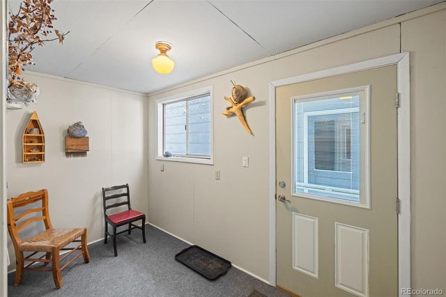 1608 Mount Massive Drive, Leadville, CO 80461