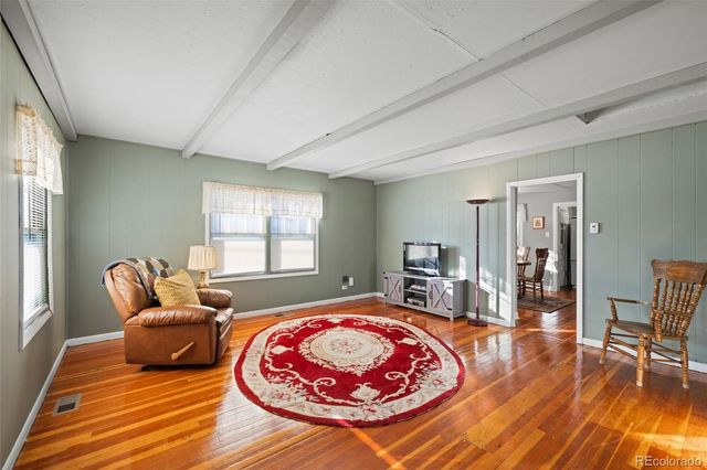 1608 Mount Massive Drive, Leadville, CO 80461