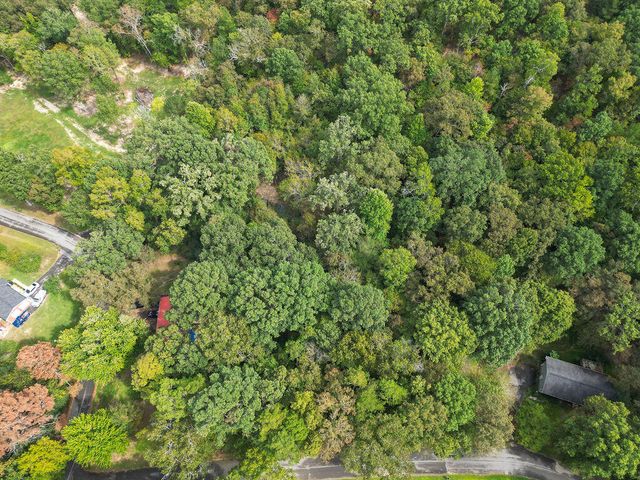 0 Jacobs Road, Ringgold, GA 30736