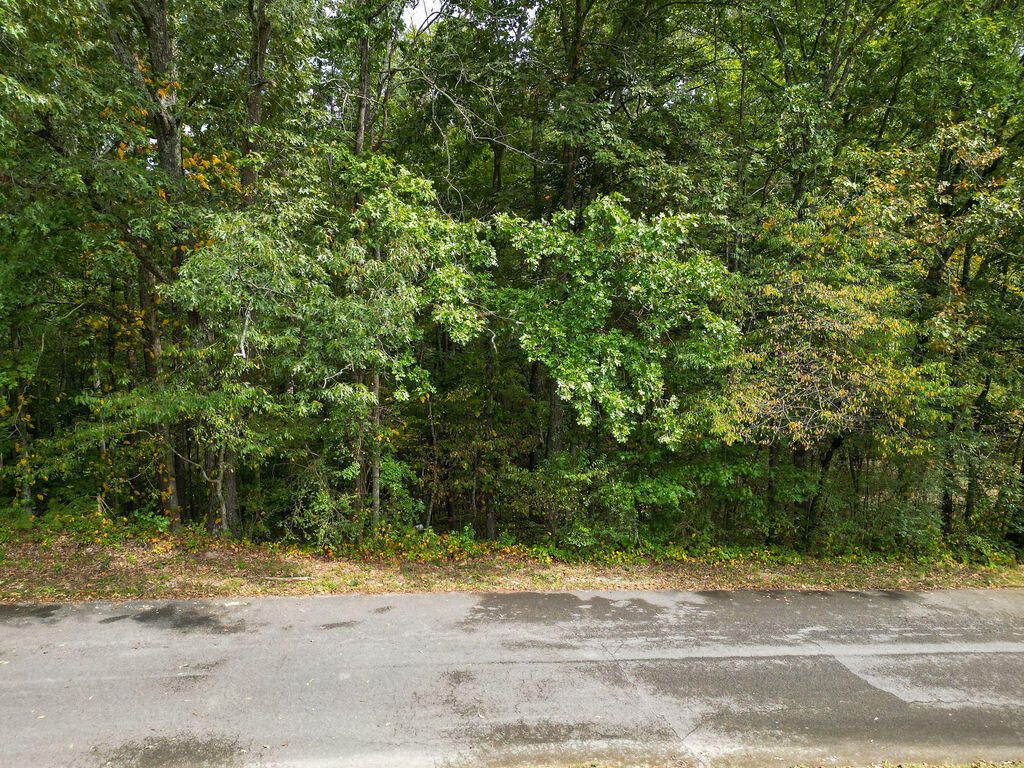 0 Jacobs Road, Ringgold, GA 30736