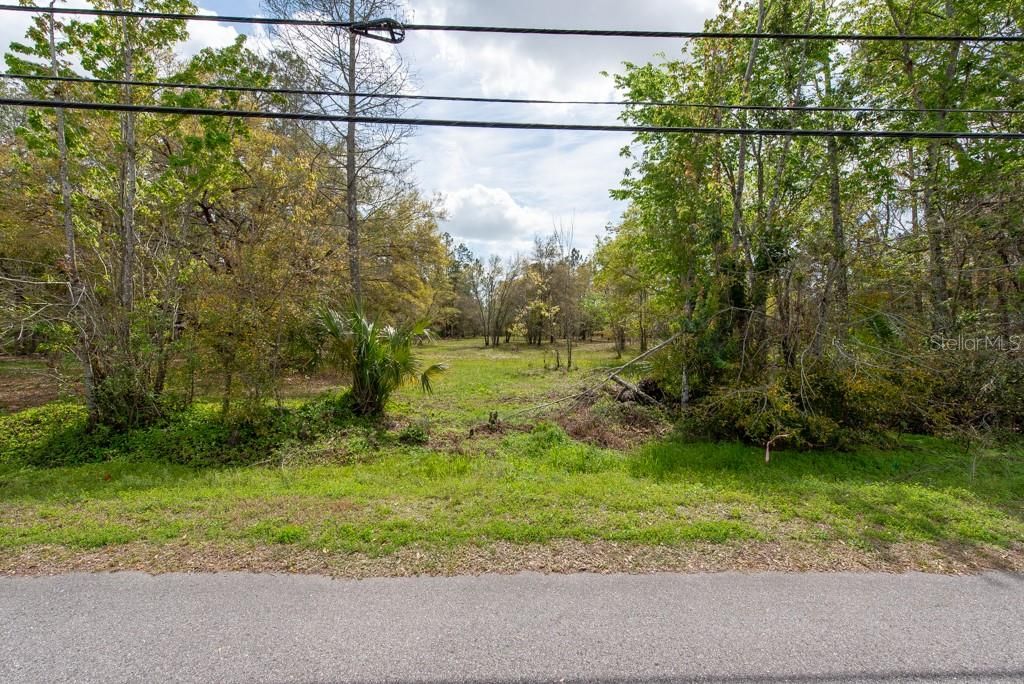 331 APPALOOSA ROAD, Tarpon Springs, FL 34688