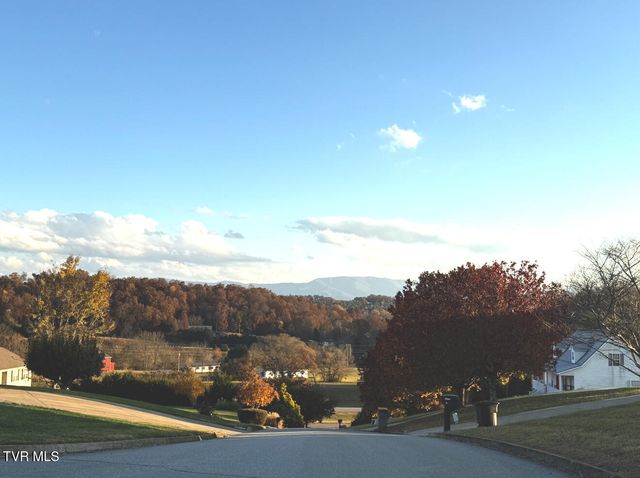 234 East Ridges Drive, Chuckey, TN 37641