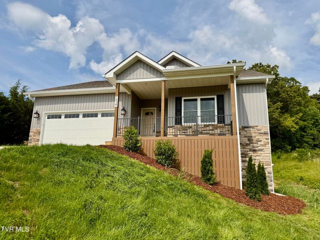 234 East Ridges Drive, Chuckey, TN 37641