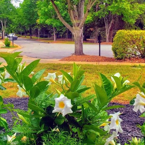 20452 Greenway Heights Drive, Cornelius, NC 28031