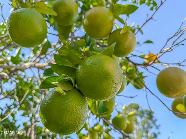 2098 Covington Avenue, Simi Valley, CA 93065