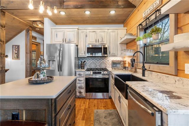 447 Pig Trail, Cherry Log, GA 30522