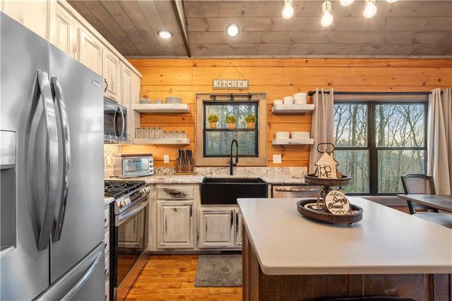 447 Pig Trail, Cherry Log, GA 30522