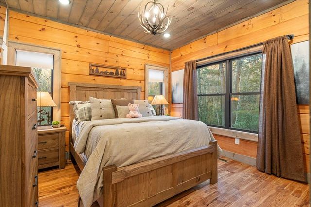 447 Pig Trail, Cherry Log, GA 30522