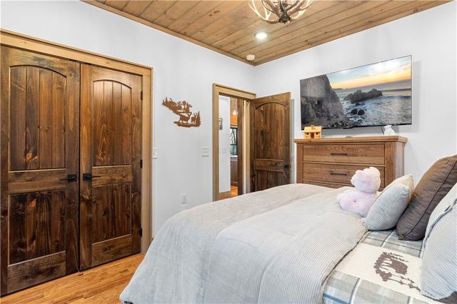 447 Pig Trail, Cherry Log, GA 30522