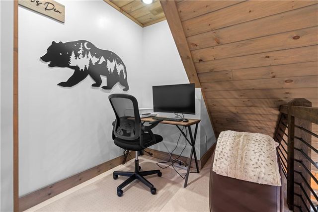 447 Pig Trail, Cherry Log, GA 30522