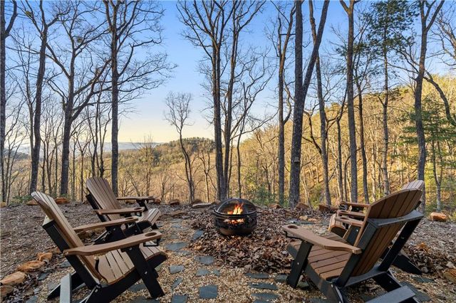 447 Pig Trail, Cherry Log, GA 30522