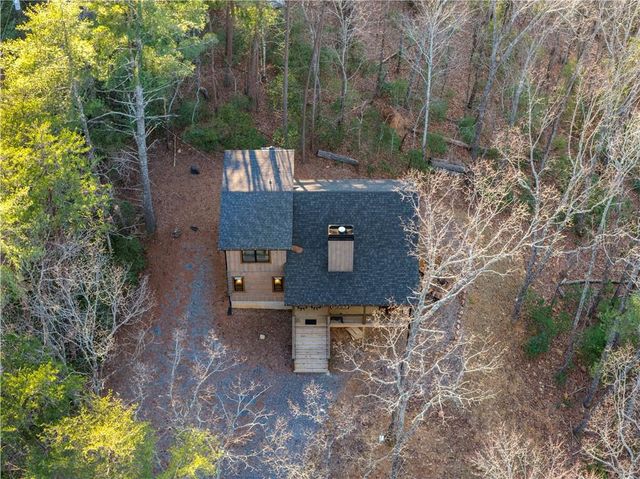 447 Pig Trail, Cherry Log, GA 30522