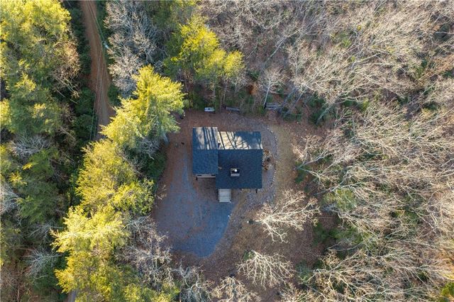 447 Pig Trail, Cherry Log, GA 30522