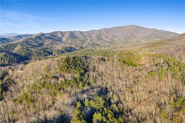 447 Pig Trail, Cherry Log, GA 30522