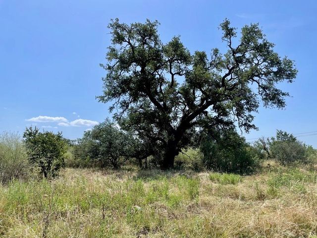Lot 1 Legacy Ridge, Burnet, TX 78611