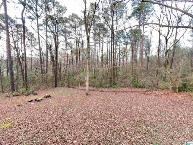 1533 SHAGBARK CIRCLE, Birmingham, AL 35235