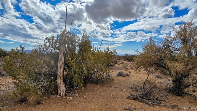 6962 E Black Kettle Drive, Yucca, AZ 86438