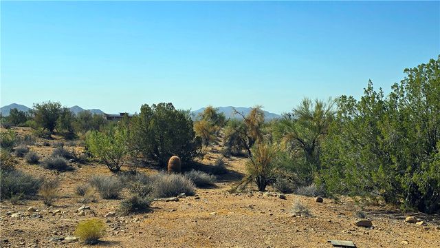 6962 E Black Kettle Drive, Yucca, AZ 86438