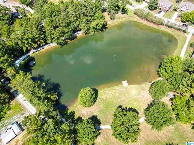 1037 BELVEDERE COVE, Birmingham, AL 35242
