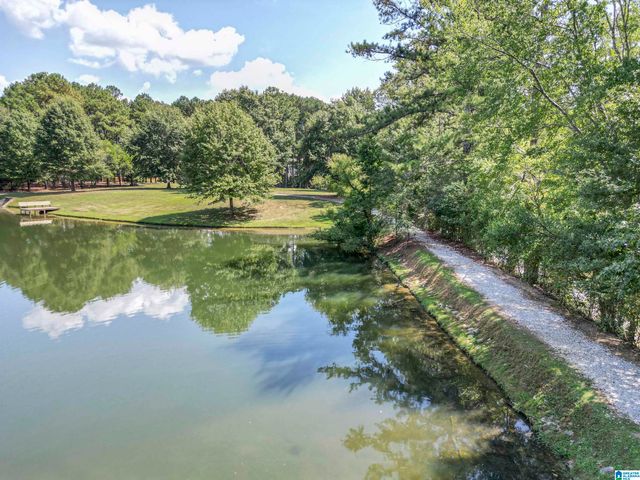 1037 BELVEDERE COVE, Birmingham, AL 35242