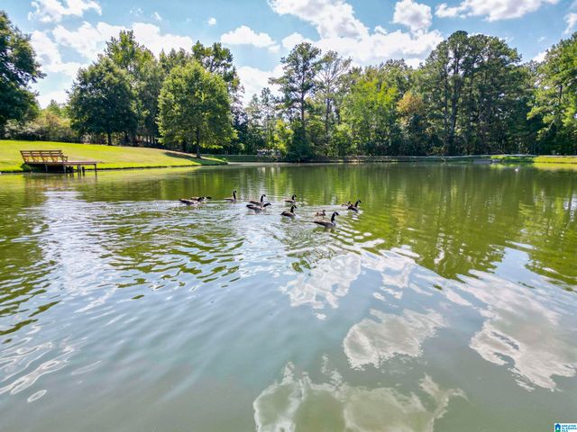 1037 BELVEDERE COVE, Birmingham, AL 35242