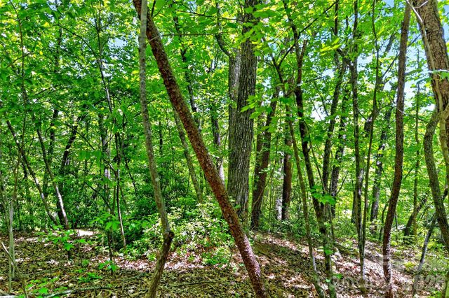 999 Justice Drive, Lake Lure, NC 28746