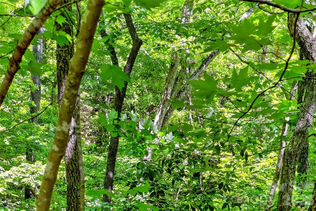 999 Justice Drive, Lake Lure, NC 28746