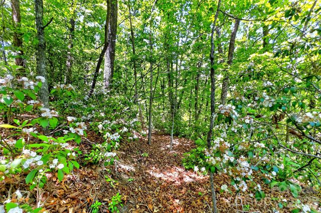 999 Justice Drive, Lake Lure, NC 28746