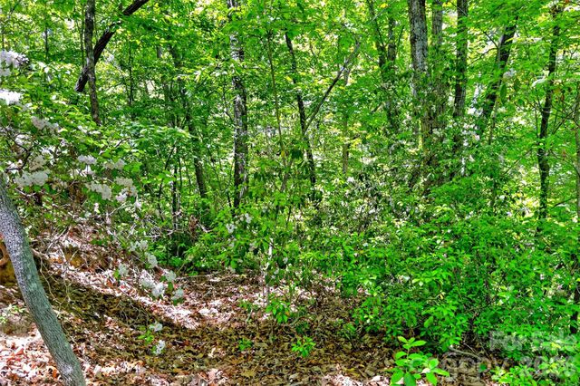 999 Justice Drive, Lake Lure, NC 28746