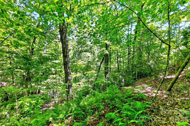 999 Justice Drive, Lake Lure, NC 28746