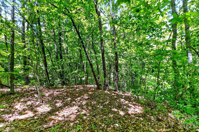 999 Justice Drive, Lake Lure, NC 28746