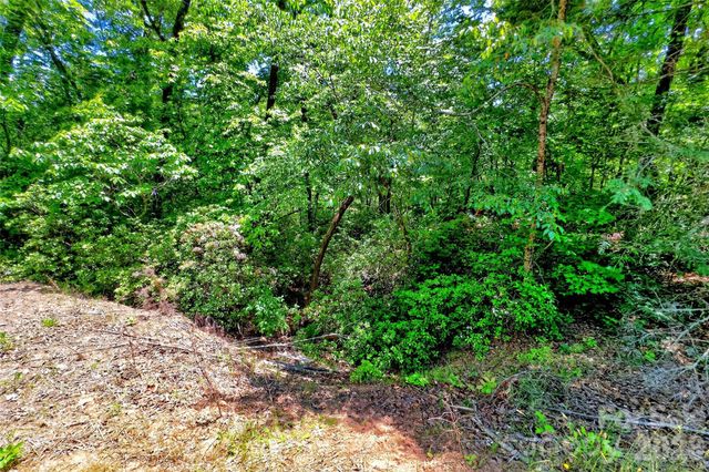 999 Justice Drive, Lake Lure, NC 28746