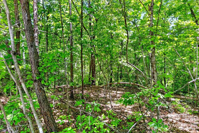 999 Justice Drive, Lake Lure, NC 28746