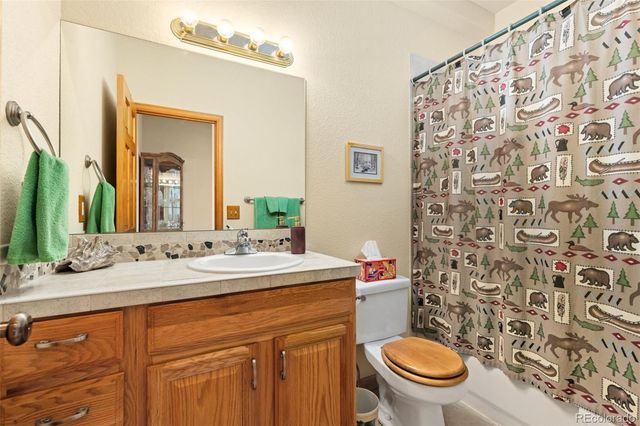 3667 Joyful Way B, Evergreen, CO 80439