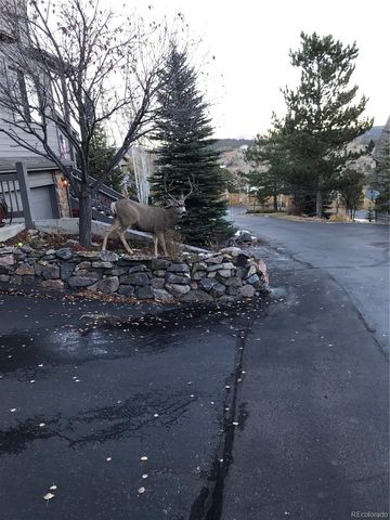 3667 Joyful Way B, Evergreen, CO 80439