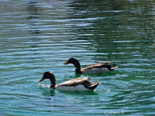 1613 Lassen Way, Pine Mtn Club, CA 93222