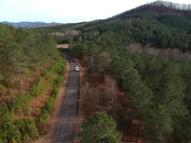 LT 43&44 Reece Mountain Road, Ellijay, GA 30536