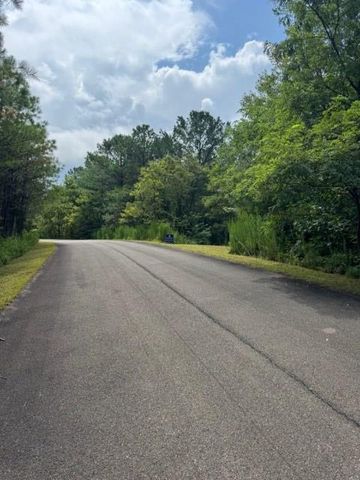 LT 43&44 Reece Mountain Road, Ellijay, GA 30536